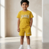 Boys Printed T-Shirt & Shorts Set | Stylish Kids Casual Summer Wear Outfit