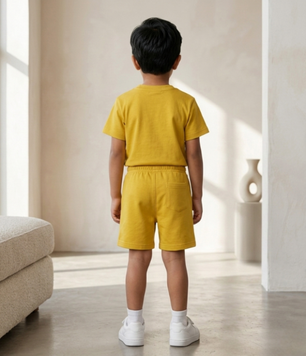 Boys Printed T-Shirt & Shorts Set | Stylish Kids Casual Summer Wear Outfit